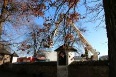 IMG_7974_Easy-Resize.com_