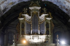 IMG_5417